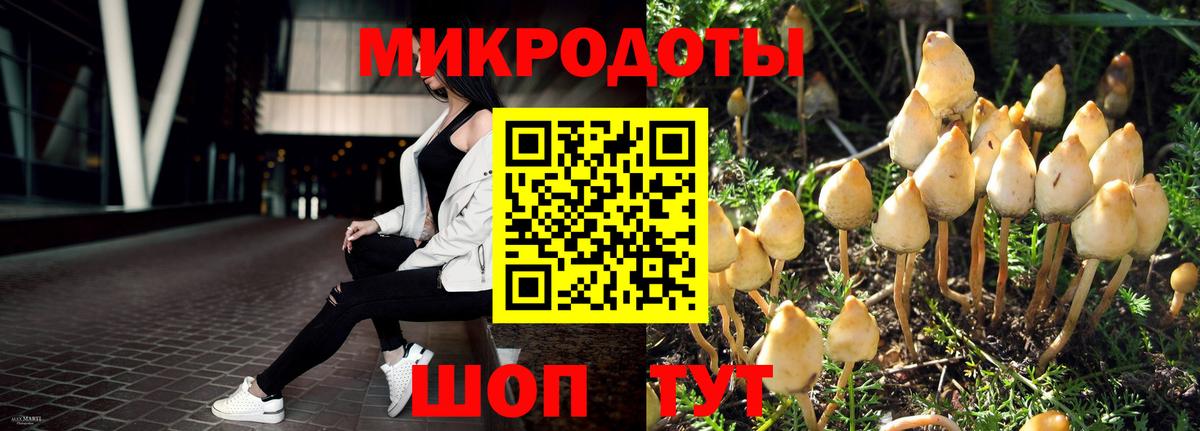 Псилоцибиновые грибы Magic Shrooms  Вход с VPN  Рославль  Псилоцибиновые грибы мухоморы 