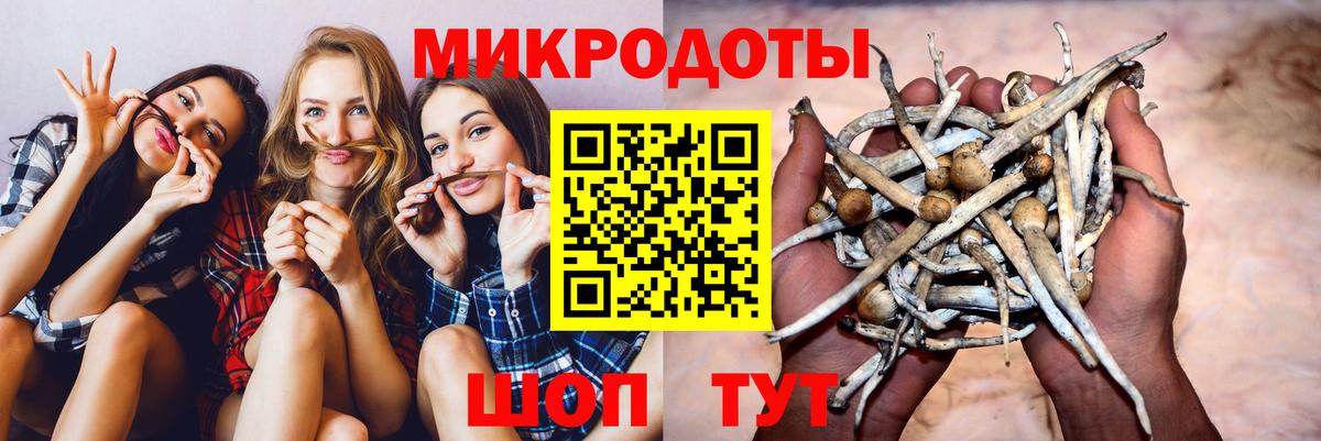 Галлюциногенные грибы ЛСД Рославль